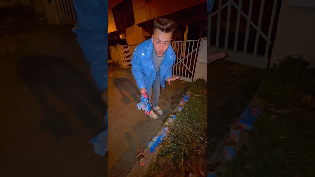 On nourrit les chats abandonnés 😭💔