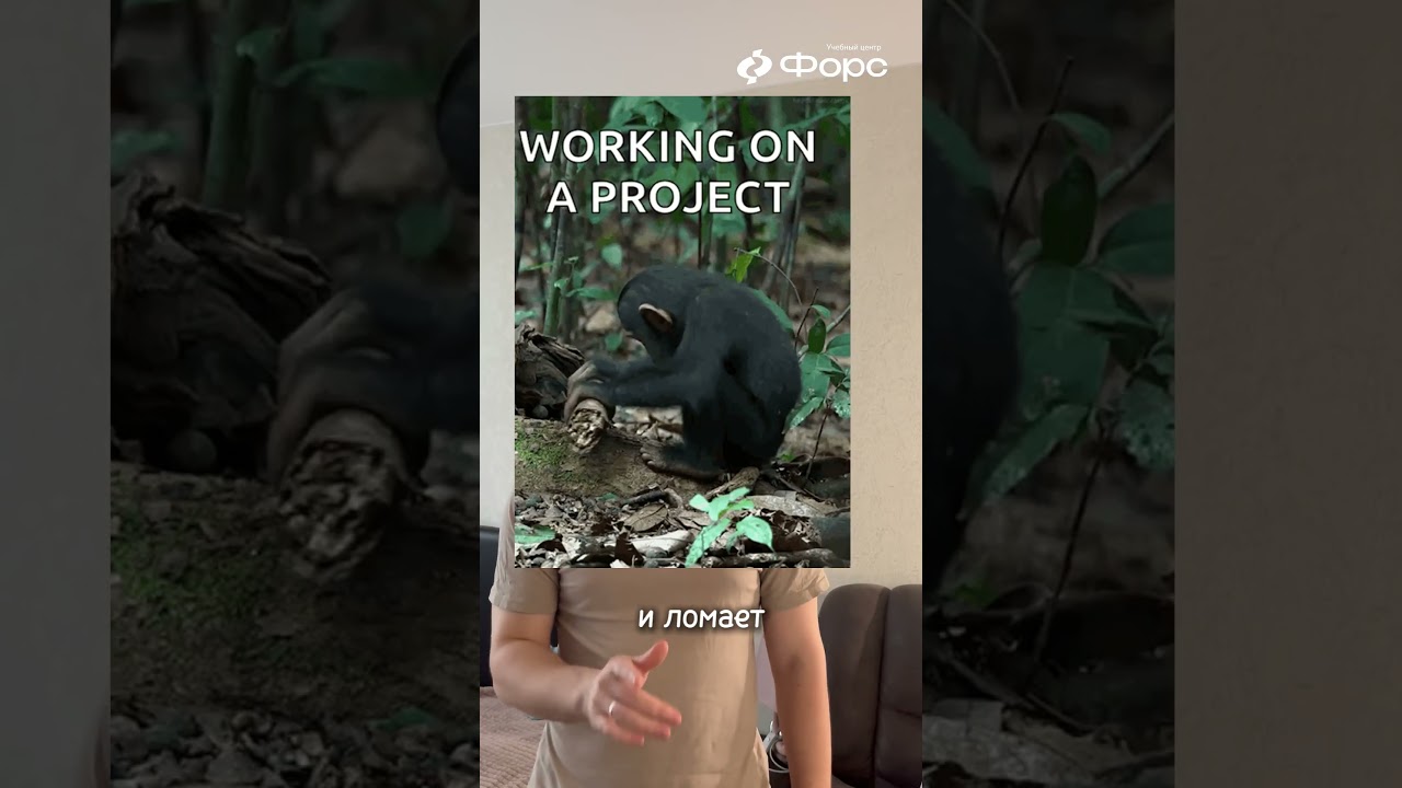 📌 Что такое DevOps — простыми buzzword’ов⚙️ DevOps — это не про установку Jenkins. 