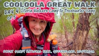 Cooloola Great Walk | SOLO | Day 4 of 5 | Challenging | @DedicatedToAdventure 