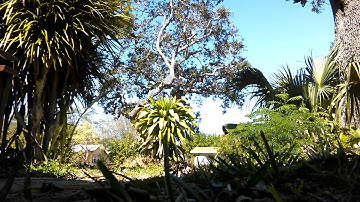 PVC 3rd Gen K5LA (new air hose full pressure test at 110ft away)