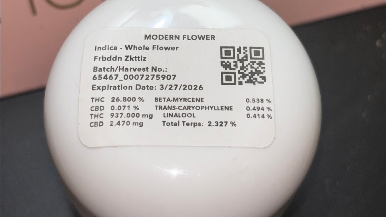 THIS Za Had Me COOKED 👨‍🍳 | Forbidden Zkittles 🍬 