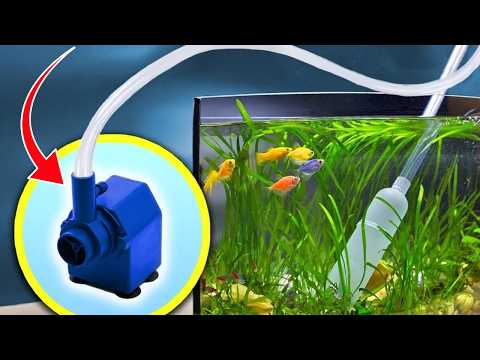 15 Aquarium Tips & Tricks to Save You Time I Wish New Sooner