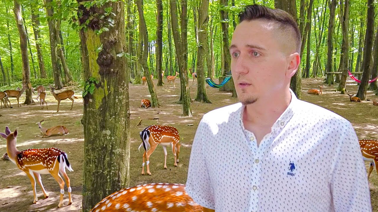 Najveća farma jelena u BiH!