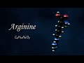 Molecules : Quick tour of the 22 proteinogenic amino acids