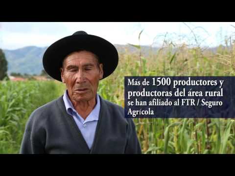 HISTORIA DE EXITO DAMIAN HEREDIA - PROYECTO MICROSEGUROS RURALES (DICIEMBRE 2012 - OCTUBRE 2015)