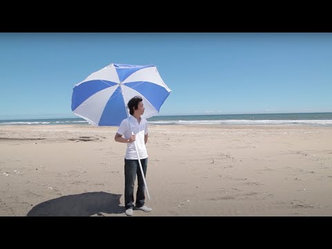 サニーデイ・サービス - One Day [Official Video]