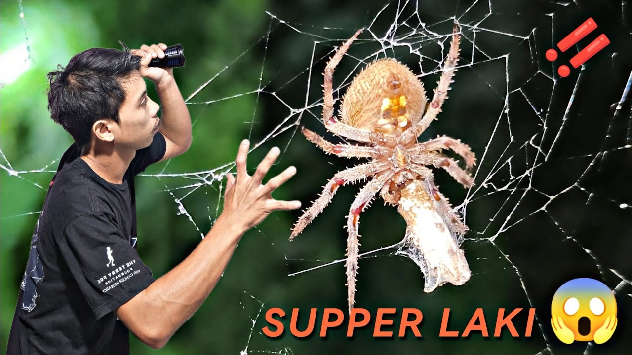 NAKITA KO  ANAK NI SPIDERMAN ‼️😱 (spider hunt).