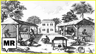 Tom Zoellner On The Jamaican Revolt That Ended Slavery In The British Empire FULL INTERVIEW