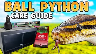 How To Take Care of A Ball Python  Beginners Care Guide!