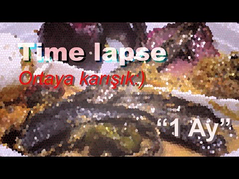 Time lapse - Ortaya karışık bir tabak | A mixed plate in the middle