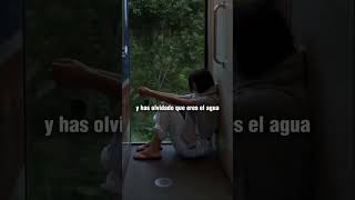 Tu conflicto no viene del pensamiento, viene de creer que eres el pensamiento Cuando te identifi