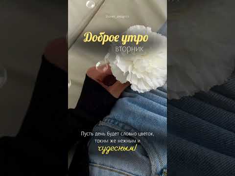 Вторник. Доброе утро.#вторник#доброеутро#утренняямотивация#открытки#цитаты #music