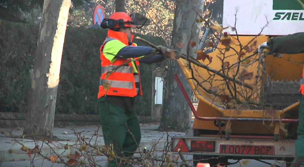 Associació Sant Tomas - PARMO