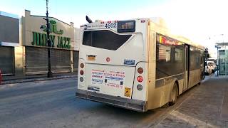Taking B44 New York City Bus in Brooklyn on New Year's Day