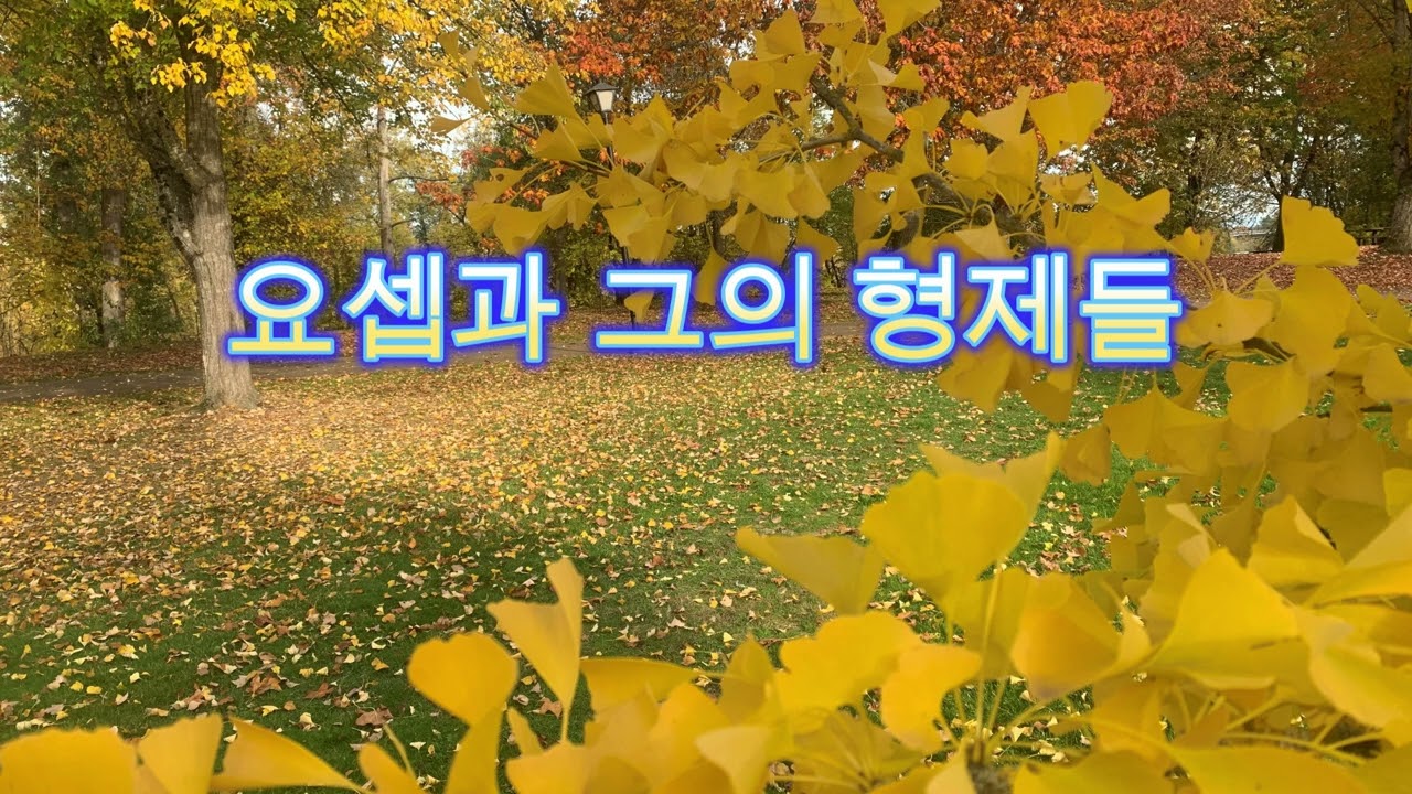 요셉과 그의 형제들