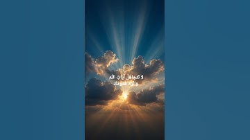سورة الأحزاب (المنشاوى) #سورة_الاحزاب #قرآن #quran #الله #اسلام #islam #المنشاوي #الحمدلله #تلاوات