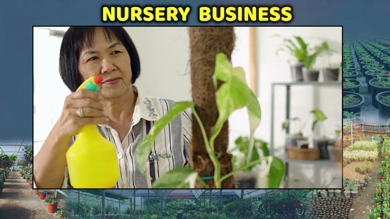 How To Start Nursery Business In Telugu Self Employment Money how-to-start-nursery-business-in-telugu-self-employment-money