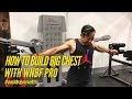 How to build big chest with wnbf pro kenneth lo  askkenneth 