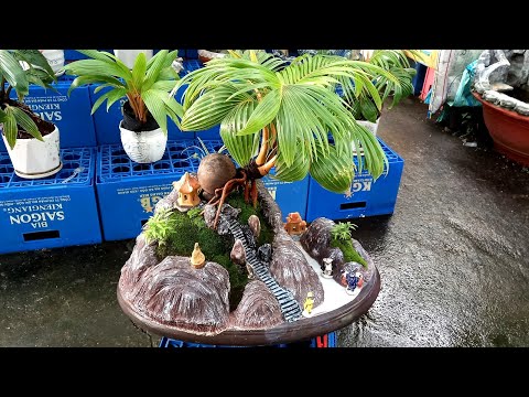Video Dừa bonsai kết hợp tiểu cảnh non bộ tuyệt đẹp |... - youtube