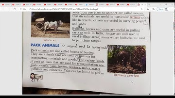 CLASS 4 EVS CH 18 TRAVEL WITH ANIMALS.