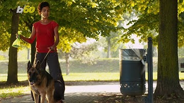 This Robot Picks Up Dog Poo in Your Yard