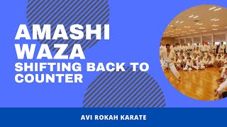 Shift Back To Counter Amashi Waza