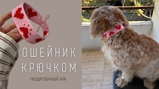 картинка: САМЫЙ МИЛЫЙ ВЯЗАНЫЙ ОШЕЙНИК ДЛЯ СОБАКИ | ОШЕЙНИК КРЮЧКОМ НА ЛЮБОЙ РАЗМЕР | ПОДРОБНЫЙ МК ДЛЯ НОВИЧКОВ