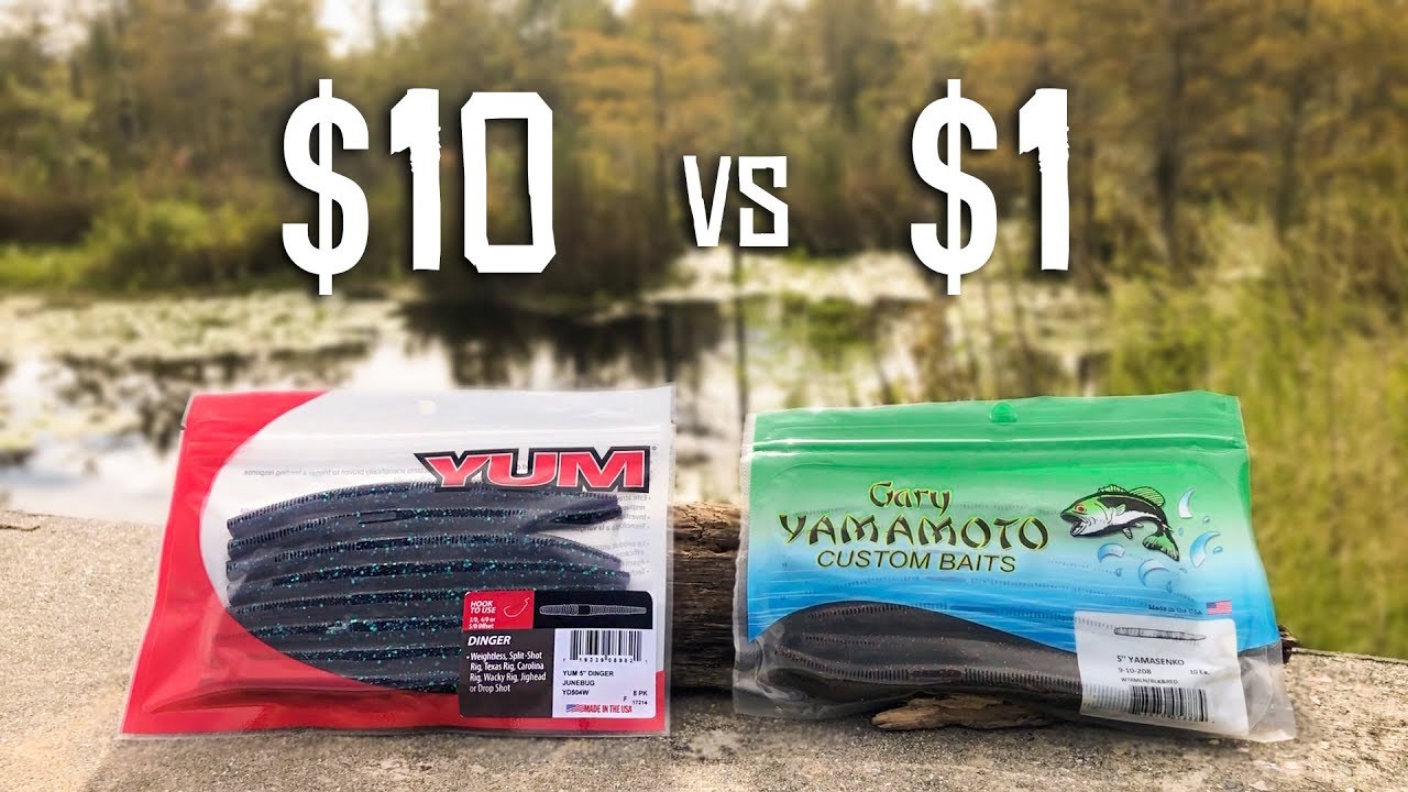 CHEAP vs EXPENSIVE Senko Fishing CHALLENGE!!! (Walmart) 