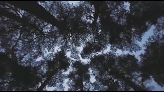 nuture relax (music video)