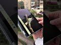Dell Latitude 5340 X360 🔥 أقوى 13 إنش جيل 13 عملي للشغل والدراسة