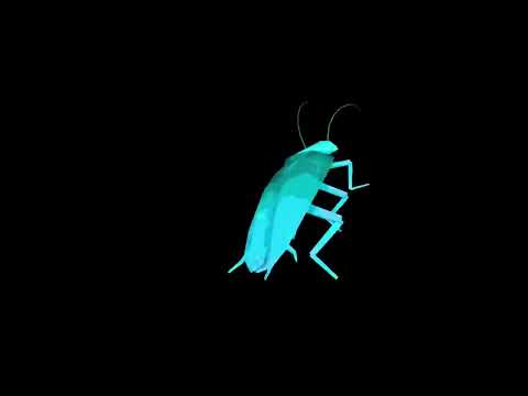 Rainbow Cockroach Dances To Daft Punk Around The World 10 Hours