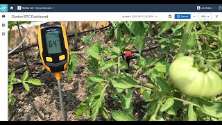 SPC Tools Compared: What Helped My Peppers Thrive — Prolink, Connect, or RTSPC