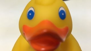 Botcon 2016 - Megatrons Rubber Duck