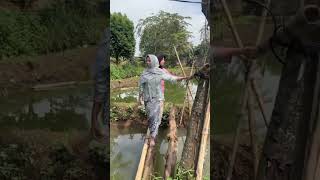 Download Lagu  Tugas Basa Sunda, kawih \ MP3