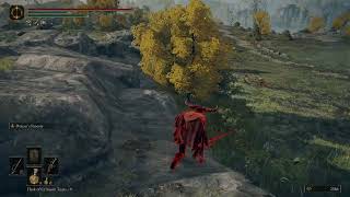 Elden Ring - Ganking the gankers