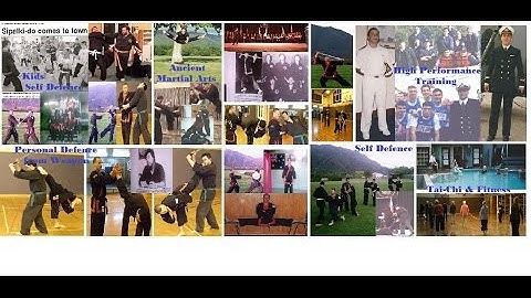 Summary DEMO (Several Opponents Defensive Skills, Grabs Escape, Weapons defense and more)