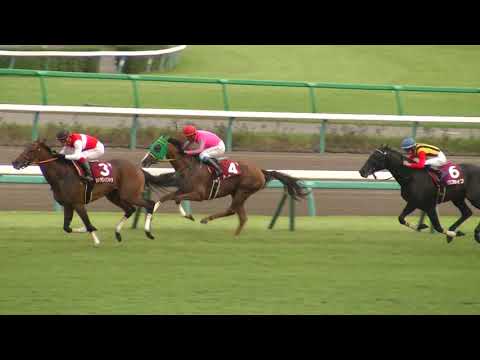 オールカマー 1着ショウナンパンドラ号 (池添謙一騎手)  (個人撮影)  2015年9月27日(日) 中山競馬場