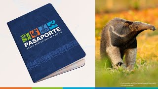 The Pport For Conservation Encourages Citizen Participation In Conservation In Bolivia