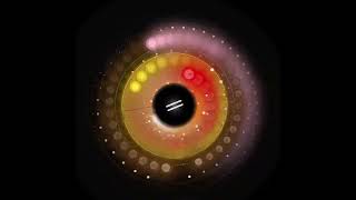 Groove as Your Soul Rings x Nodes