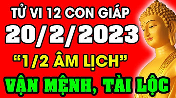 Tử vi hàng ngày 12 con giáp ngày 20/2/2023: Xem Vận Mệnh, Tài Lộc, Sự Nghiệp, Tình Duyên, Sức Khỏe
