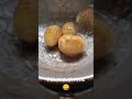 #shorts Egg fried #eggfry #youtubeshorts