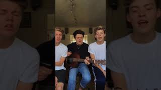 Post Malone - Stay (cover by New Hope Club)
