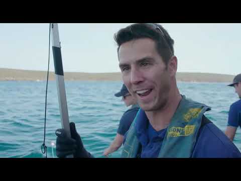 Shark Week 2021 Abandoned Waters