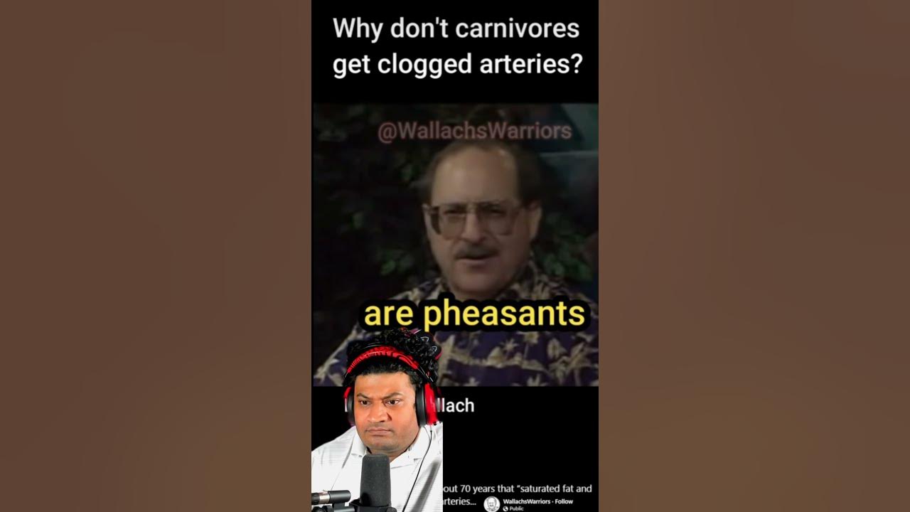 why-don-t-carnivores-get-clogged-arteries-youtube