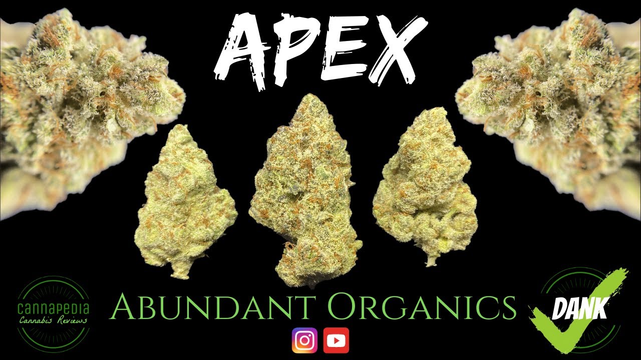 Apex Strain Review - Abundant Organics - Cannapedia
