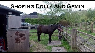 Horseshoeing Dolly U0026 Gemini