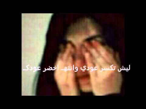 نور الزين ميت اني بشوكك