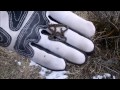 Metal Detecting the Utah Territory with VT Mining