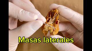 ANATOMIA ETMOIDES facil y claro en un hueso real