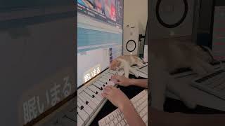 ピアノと眠い猫